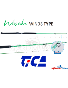 CANNA TICA WASABI WINDS TYPE JKLA80L2 2