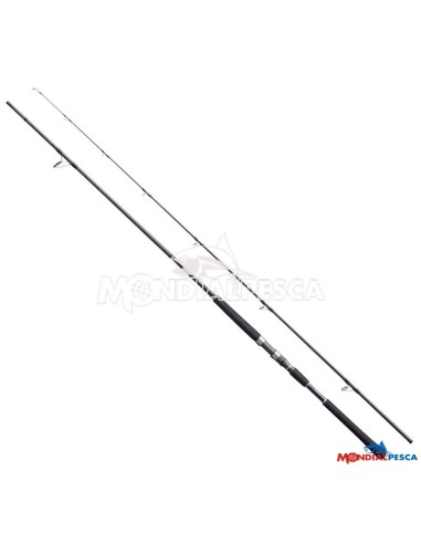CANNA SHIMANO SALTY ADVANCE EGING
