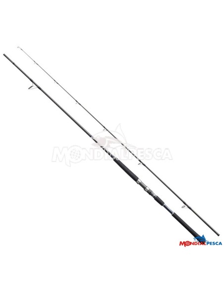 CANNA SHIMANO SALTY ADVANCE EGING