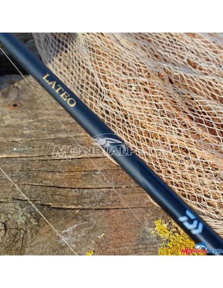 DAIWA LATEO AI