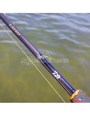 DAIWA LATEO AI