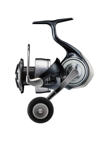 DAIWA 24 CERTATE G LT 5000D XH