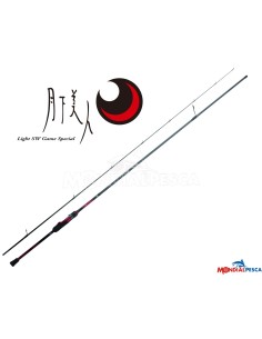 DAIWA 25 GEKKABIJIN X 2
