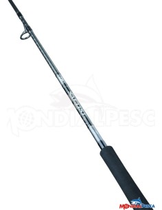 DAIWA CANNA 25 SALTIST X SJ
