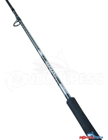 DAIWA CANNA 25 SALTIST X SJ