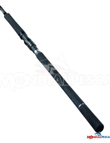 DAIWA CANNA 25 SALTIST X SJ