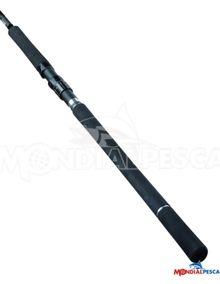 DAIWA CANNA 25 SALTIST X SJ