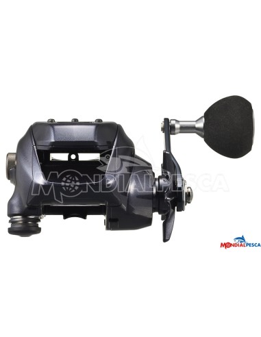 DAIWA LEOBRITZ 300J-L (E) + TRECCIATO OMAGGIO