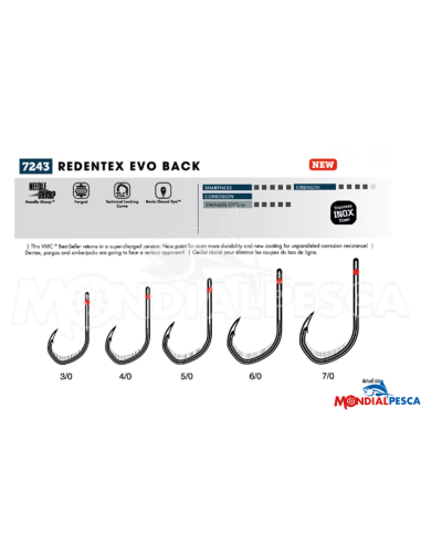 AMI VMC REDENTEX EVO BACK 7243SS