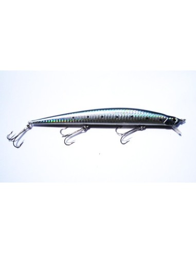 YAMASHIMA TIDE KILLER CM17 GR22 H11