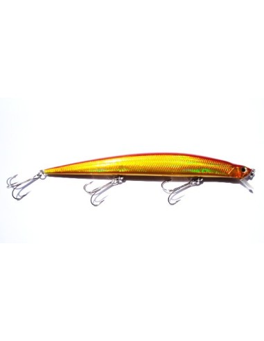 YAMASHIMA TIDE KILLER CM17 GR22 A32