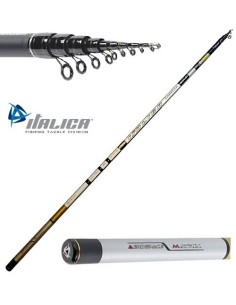 CANNA ITALICA FORTEXA GOLD MEDIUM MT 5,00 CON ANELLI