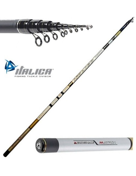 CANNA ITALICA FORTEXA GOLD MEDIUM MT 5,00 CON ANELLI