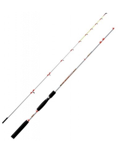 DEEP WALKER 300 EXTREME DEEP MT2.10