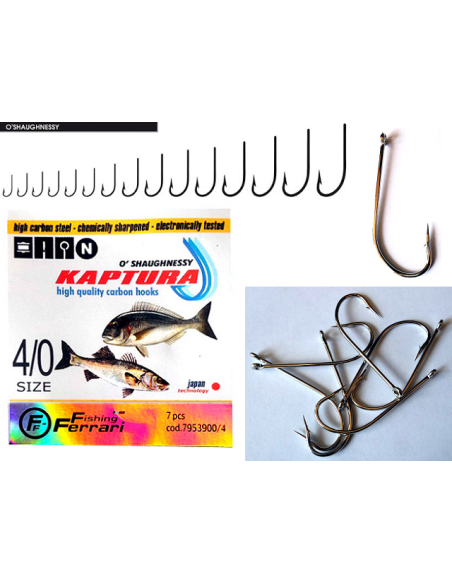 AMI FF KAPTURA O\'SHAUGHNESSY  