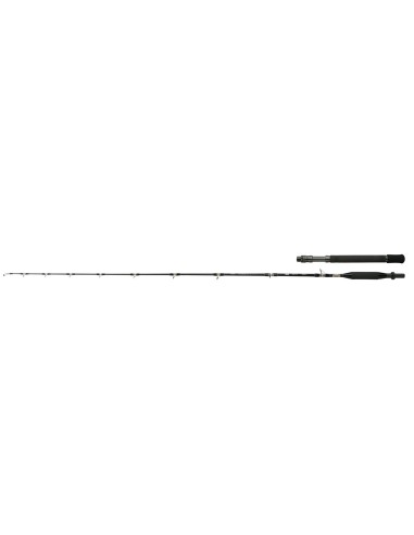 SHIMANO TYRNOS B TROLLING LITE ACID