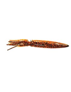 YAMASHITA SQUID BAIT CM16 KAJIKI-27